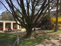 Kindergarten